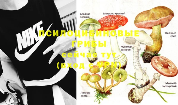 круглые Аркадак